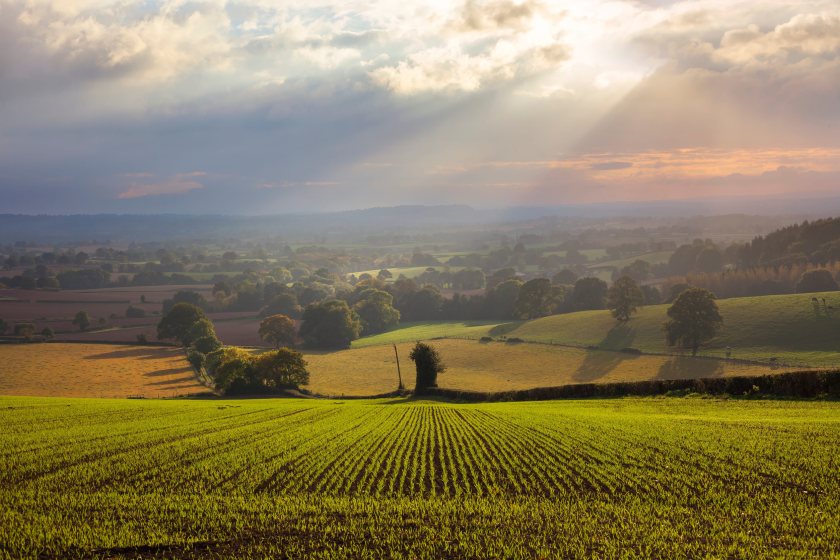 Polling found 87% of respondents believe a strong domestic farming industry is important to the UK’s future