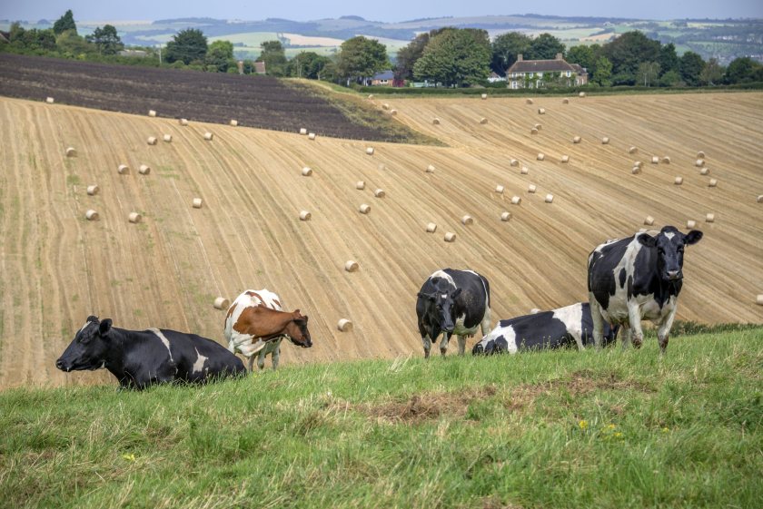 Record heat was linked to an unprecedented fall in UK farm milk deliveries during May and June