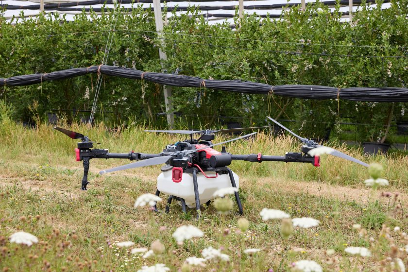 WB Chambers uses drones above polytunnels and AI-powered systems after fruit is picked