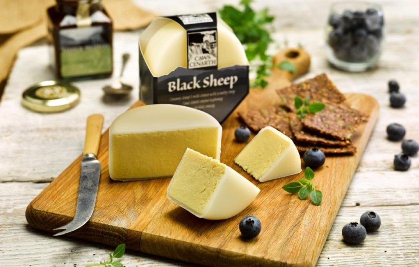 The new Dairy Sheep Wales Cluster aims to connect farmers, processors, retailers and researchers