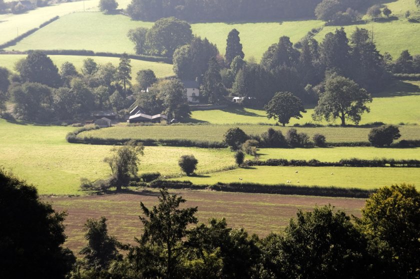 Ministers are examining lessons from Northern Ireland’s Rural Needs Act, which has been in force since 2017