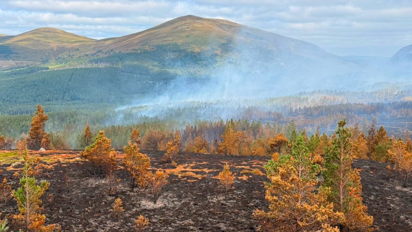 The fire triggered a major response involving emergency services and rural partners (Photo: SFRS)