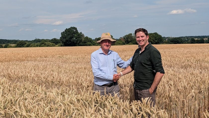 Wild Bio’s acquisition of F1 Seed brings AI, gene editing and conventional wheat breeding into one business