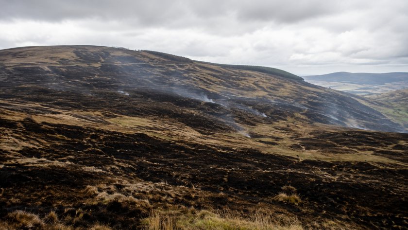Prolonged heat and dry conditions have increased the risk of wildfires spreading rapidly across the Welsh countryside