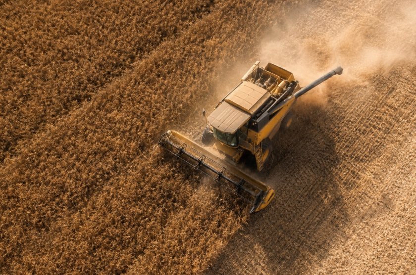 Cereal yields have fallen below the 10-year average on many farms, according to AHDB’s harvest report