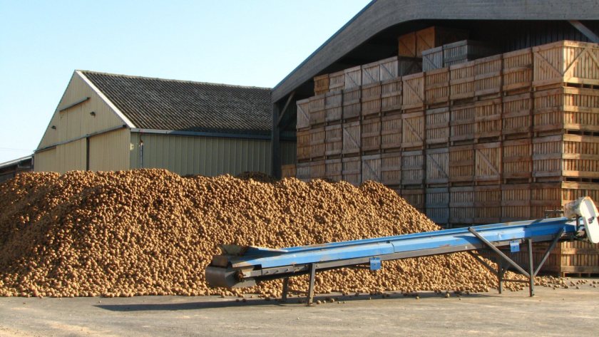 Thorough cleaning between storage seasons remains the most important step for removing historic residues