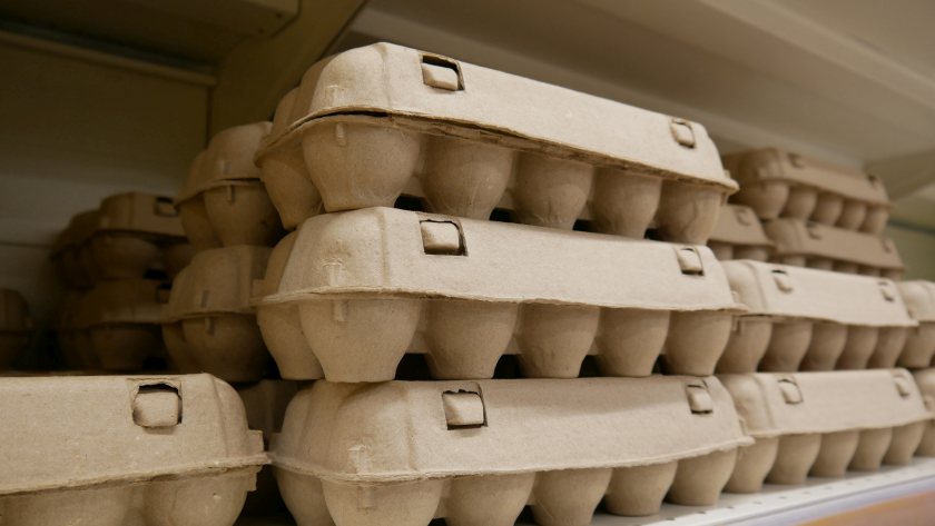 NFU Scotland says fair competition and secure routes to market are essential for a profitable domestic egg sector