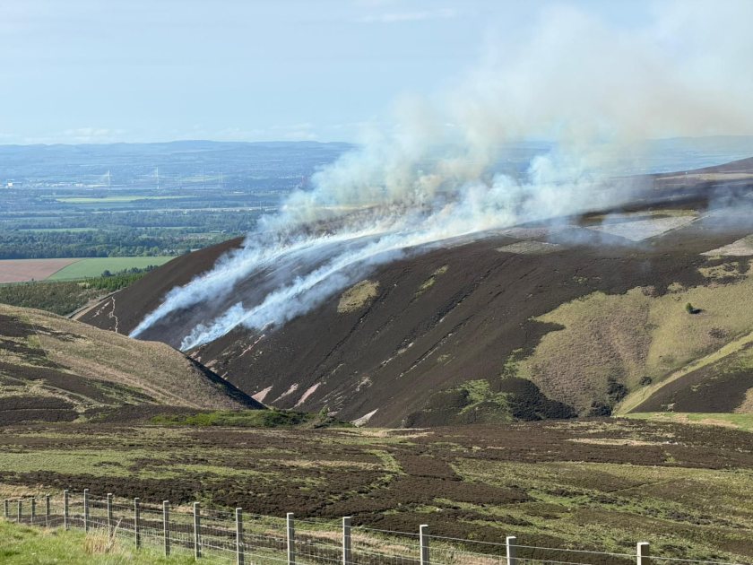 The blaze affected moorland and grazing land (Photo: Jenny Cowan)