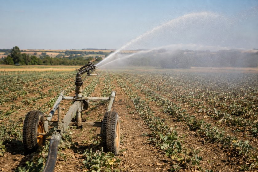 Growers are struggling to secure enough water to irrigate crops during the prolonged dry conditions