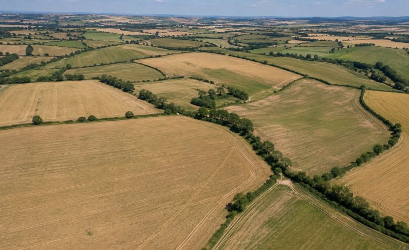 Arable farmers could lose as much as £390m in revenue if provisional yield estimates hold