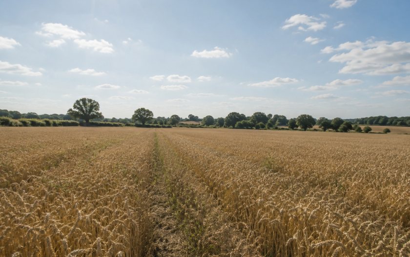 Tinder-dry conditions have left large parts of the UK countryside vulnerable to fire
