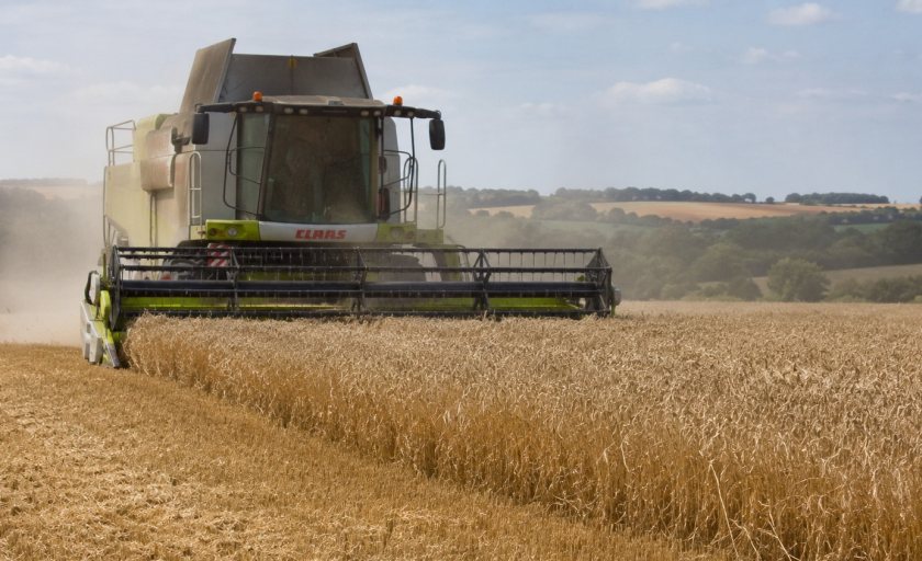 Harvest 2026 is delivering below-average yields across several key cereal crops