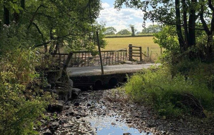 A stream running through farmland in Rhayader, Powys shows the effects of the prolonged dry conditions