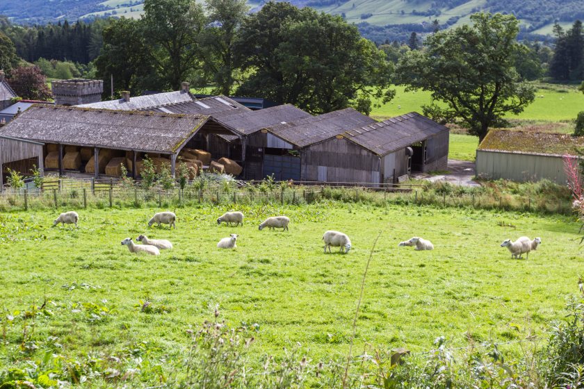 All three affected farms remain under restriction while testing and investigations continue