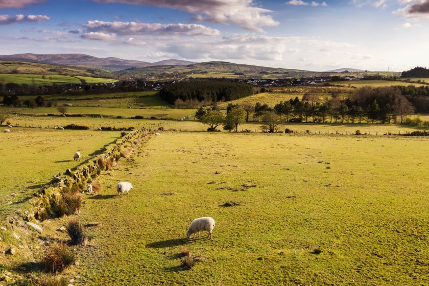 DAERA says the scheme is designed to improve farm productivity, efficiency and environmental performance