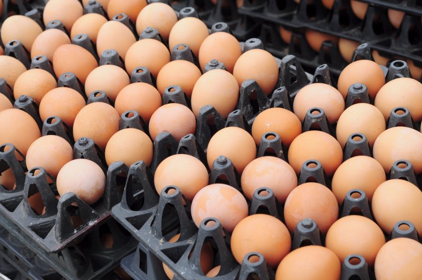 NFU Scotland says consumers should be able to see where eggs used in restaurants, cafés and hotels have come from
