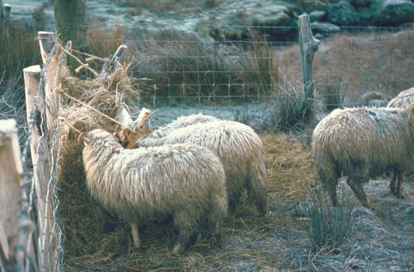 Farmers and land managers have until 16 October to respond to the consultation