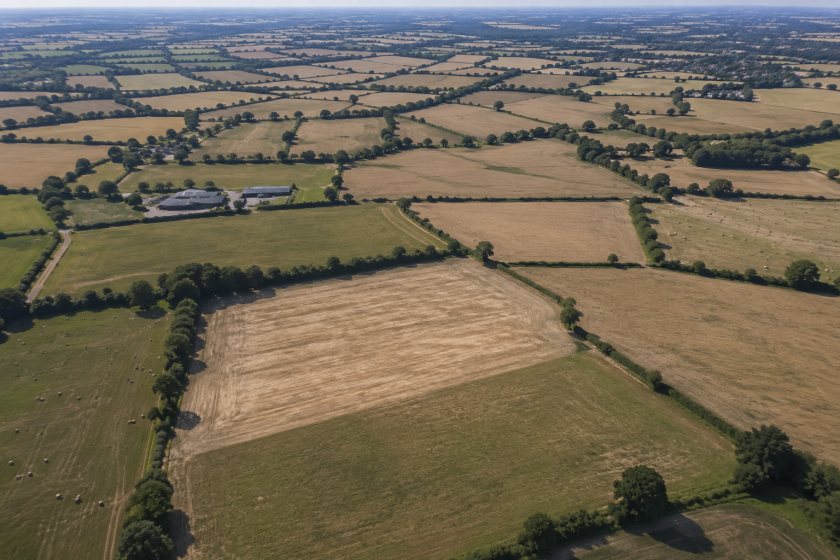 Large areas of farmland remain dry as the National Drought Group steps up its response to ongoing water pressures