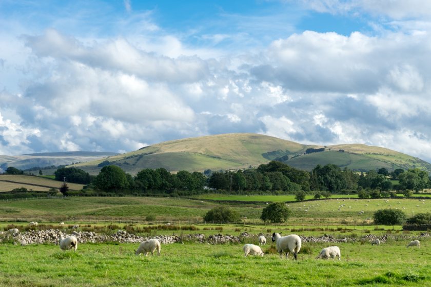 Tenant farmers urged to push for rent cuts this autumn