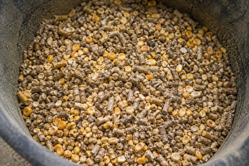 Harbro buys Cargill's Dalton animal nutrition business