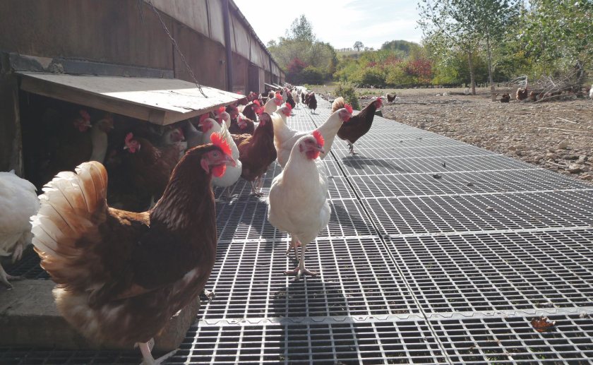 The rule was previously paused pending industry trials, which did not ultimately take place
