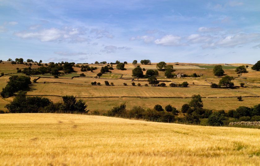 Dry conditions continue to affect farmland across England as more than 70% of the country remains in drought