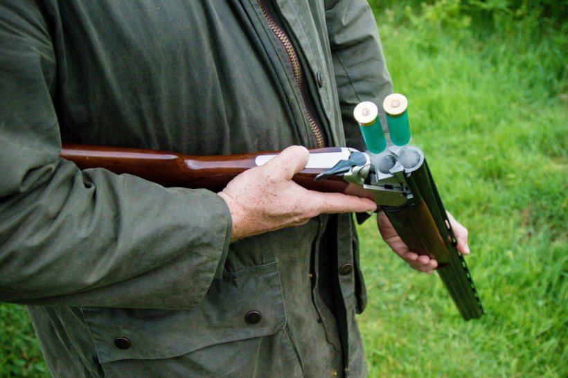 Shotgun licensing shake-up could 'cause carnage', rural group warns