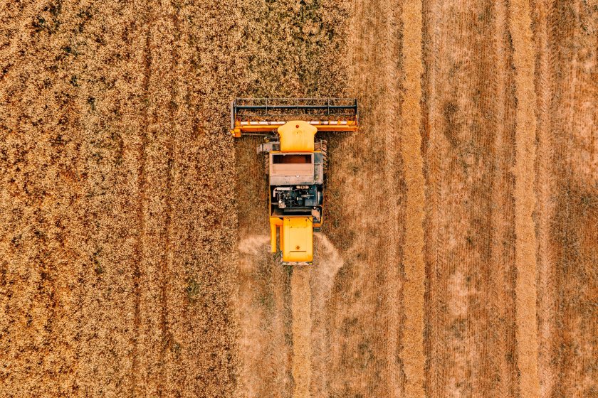UK wheat yields slump 12% as harvest nears finish