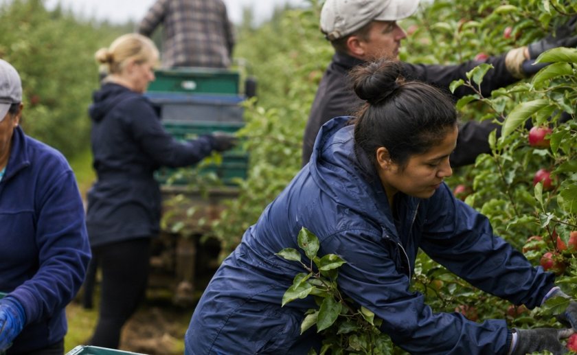 42,900 seasonal worker visas confirmed for 2027