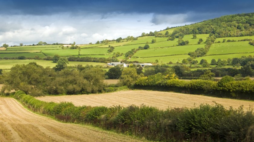 New event Cynefin aims to become Wales' answer to Groundswell