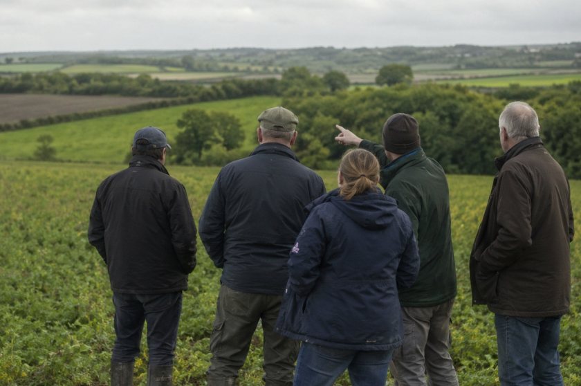 Successful delivery partners will be able to support collaboration groups for up to three years
