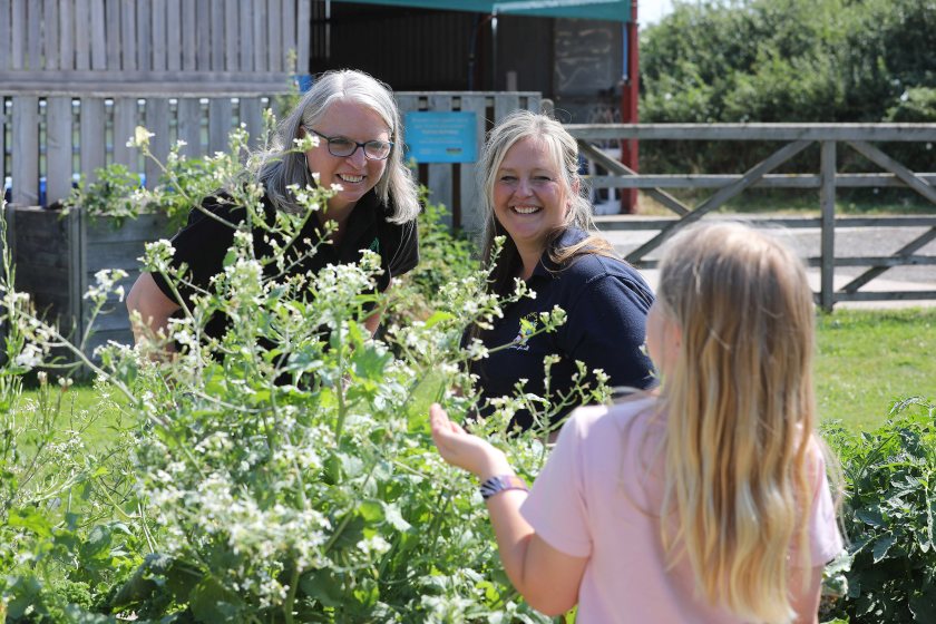 Wrexham beef farm wins award for changing lives through learning