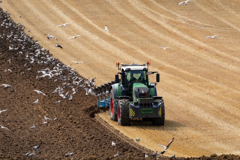 Reform says protecting productive farmland and strengthening British food production should be national priorities