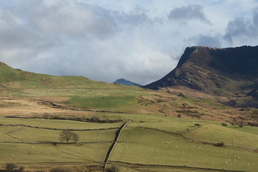 MPs to investigate future viability of upland farming