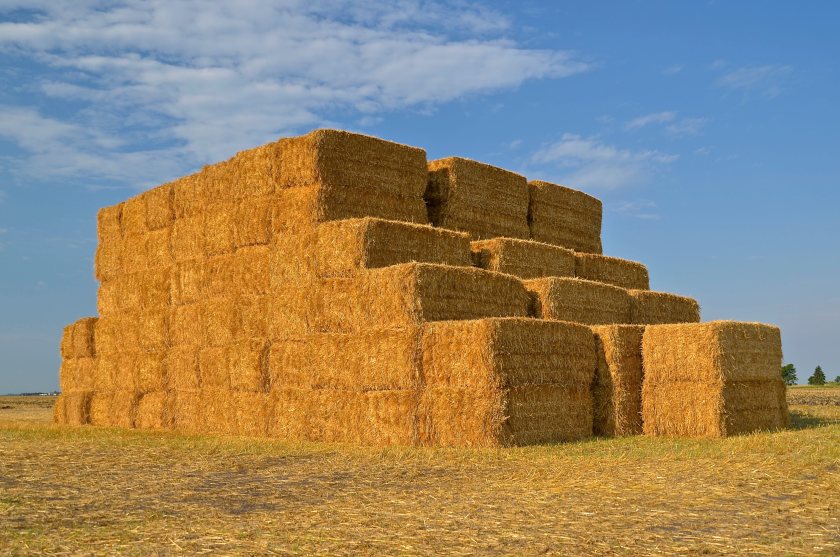 Britain produces enough straw to support low-carbon construction and create new opportunities for growers