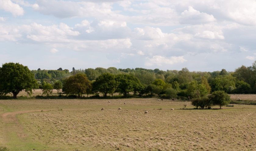 RABI’s Emergency Drought Grant is aimed at farms facing financial pressure caused by prolonged dry conditions