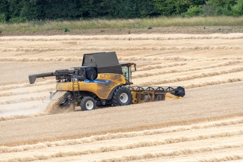 UK food self-sufficiency falls in 10 of 11 everyday staples