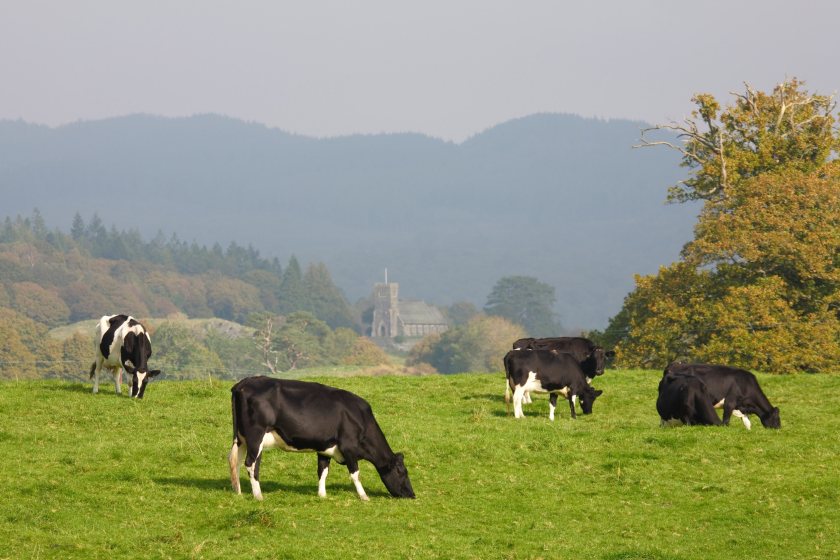 Strong production helped lift margins, but higher fuel, fertiliser and labour costs continue to put pressure on farms