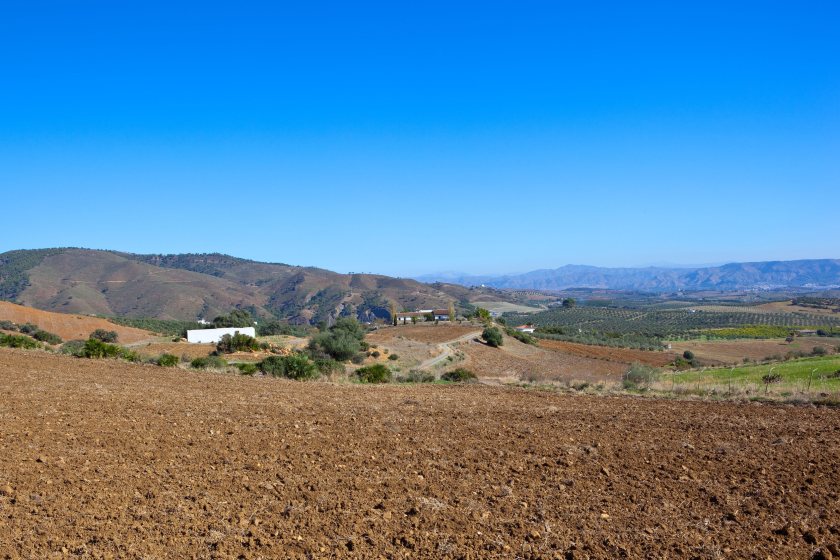 Mediterranean heat threatens key UK food supplies
