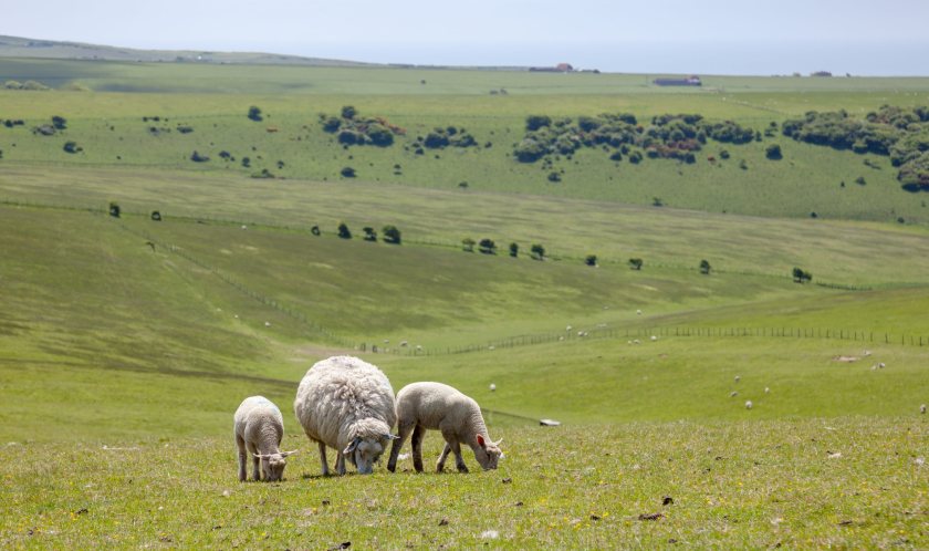 Blunkett urges Labour to learn from family farm tax 'mistakes'