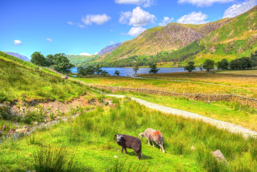 Researchers say habitat recovery and viable hill farming can work together when grazing is managed to suit local conditions