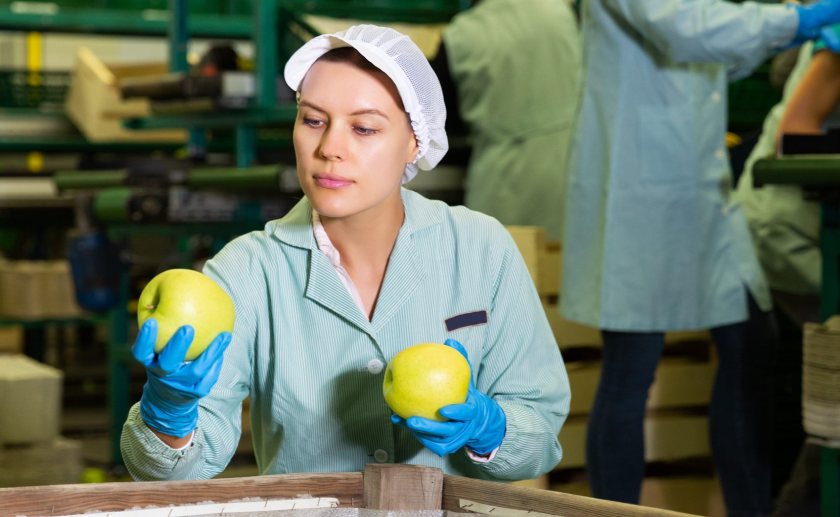 Small food firms 'largely unaware' of looming UK-EU rule changes