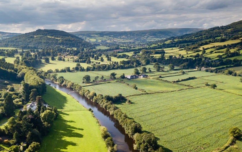 Welsh food strategy group sets sights on farms, schools and supply chains