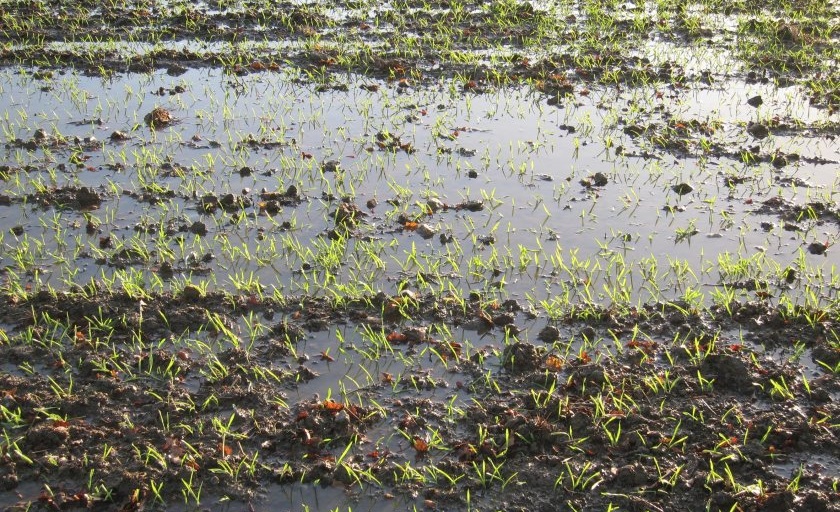 UK farms face £10bn climate loss risk without stronger defences