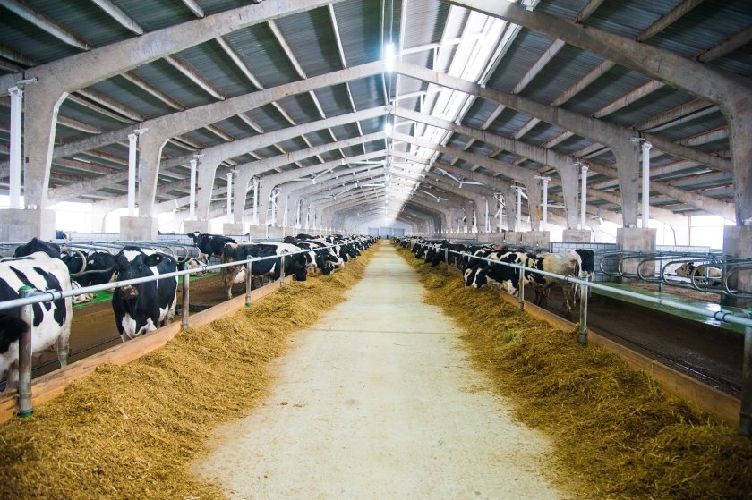 New Wales grant opens for farm roofing projects