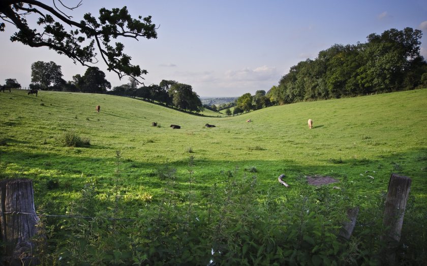 Farmers with at least three hectares of eligible agricultural land may be able to apply for SFI26 Window 2