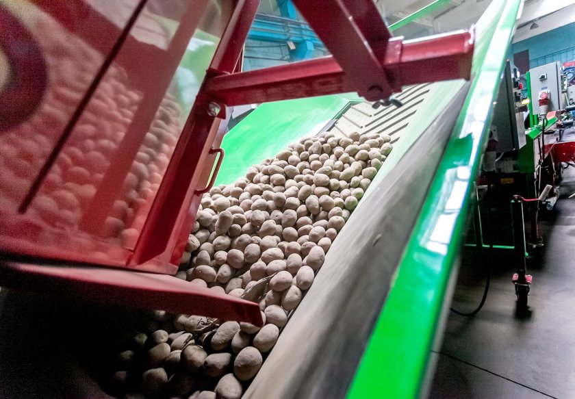Glens of Antrim Potatoes shuts down after more than 50 years
