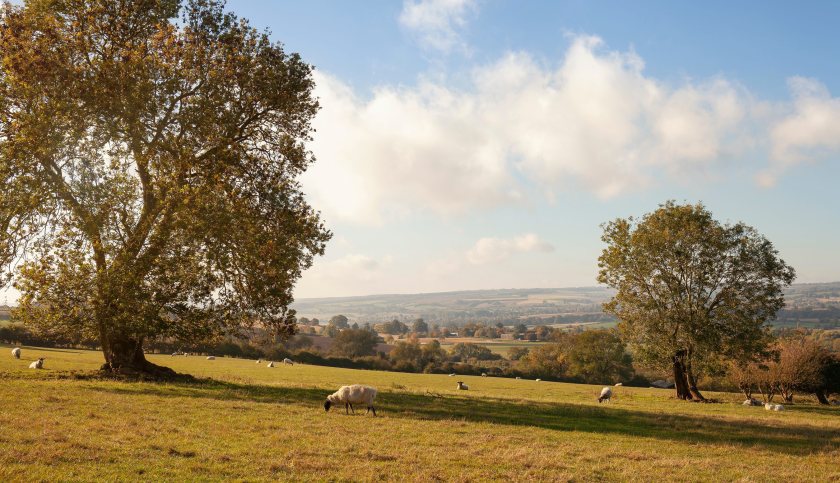 Farmers rushed to secure SFI26 funding as demand exhausted the £233m pot on opening day
