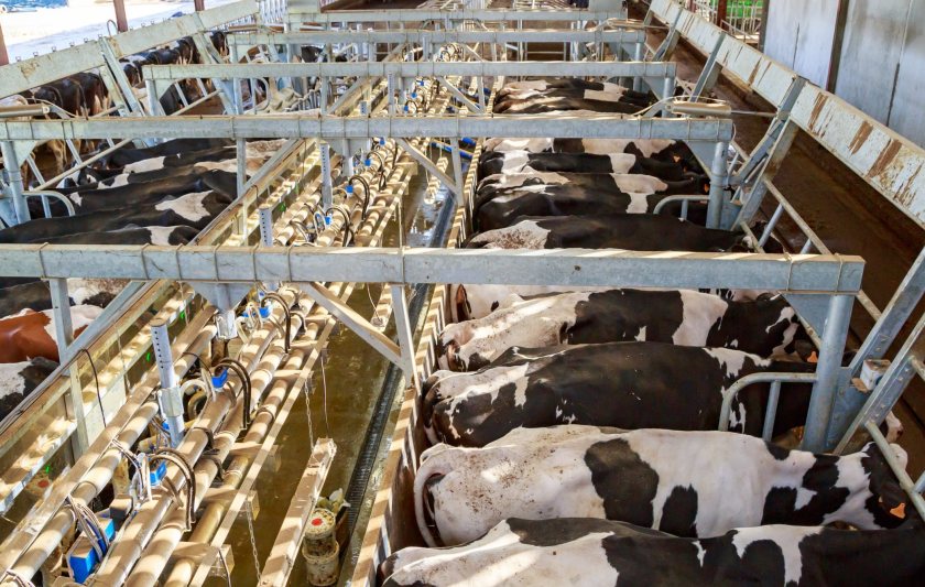 The project is testing practical ways to cut greenhouse gas emissions under real farming conditions