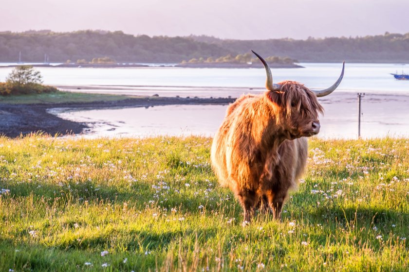 Agricultural land is set to play a greater role in catchment-wide flood management under Scotland’s latest resilience strategy